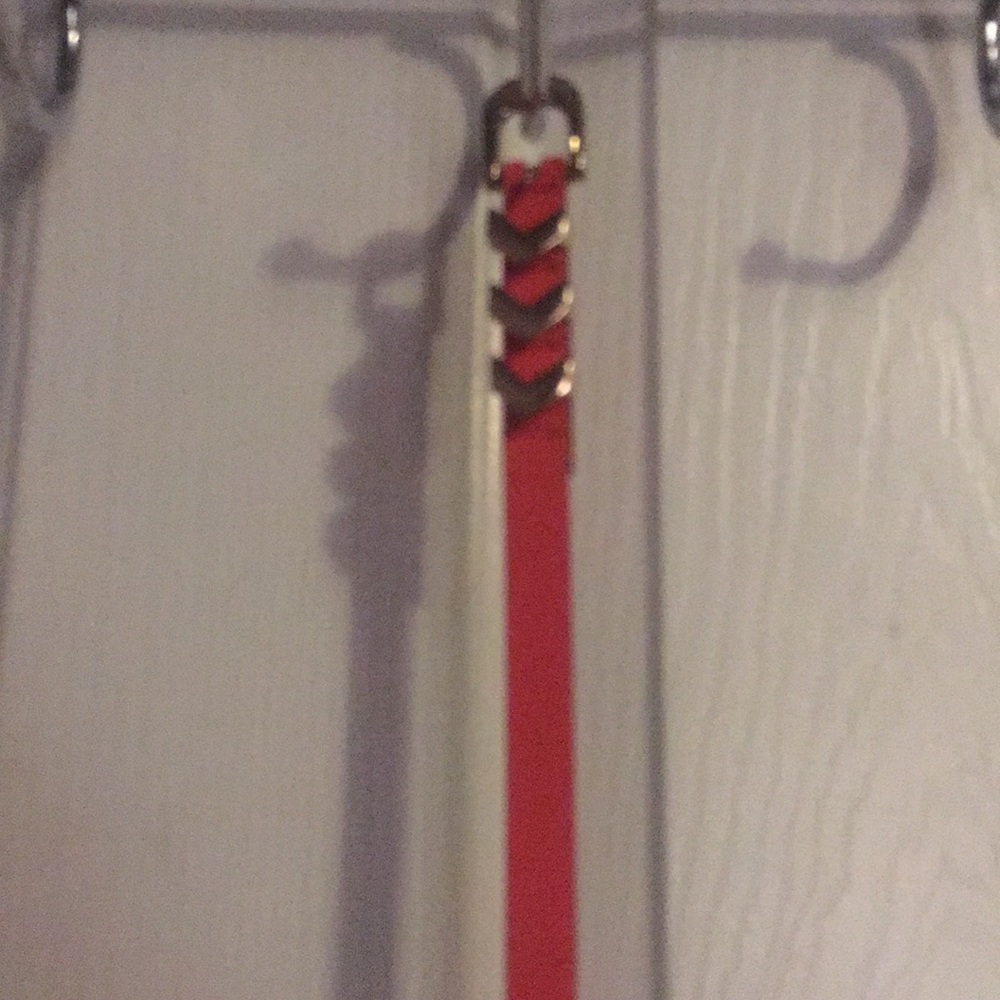 Belt - Picture 2 of 2